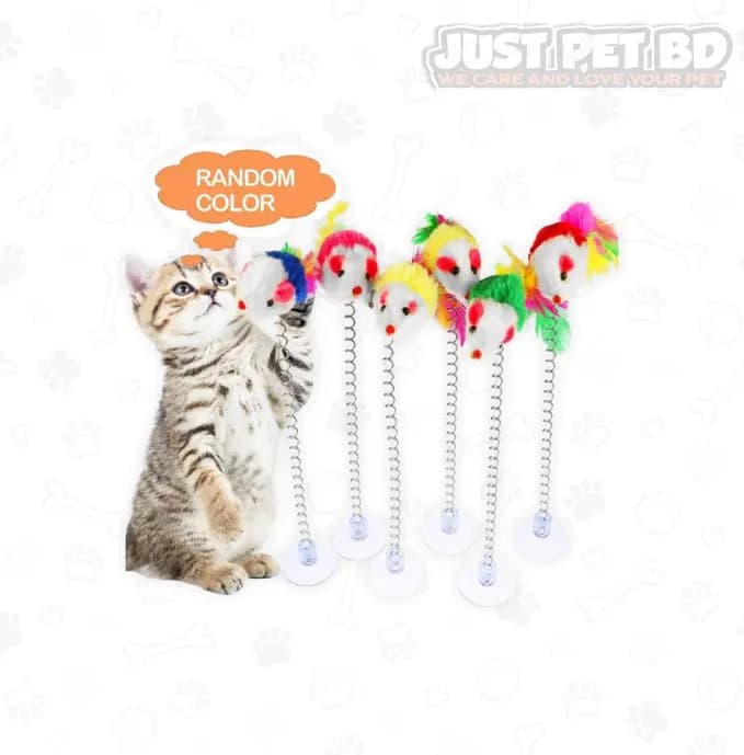 Spring Toy For Cat Mouse Feather Toy Cat Playing Crazy