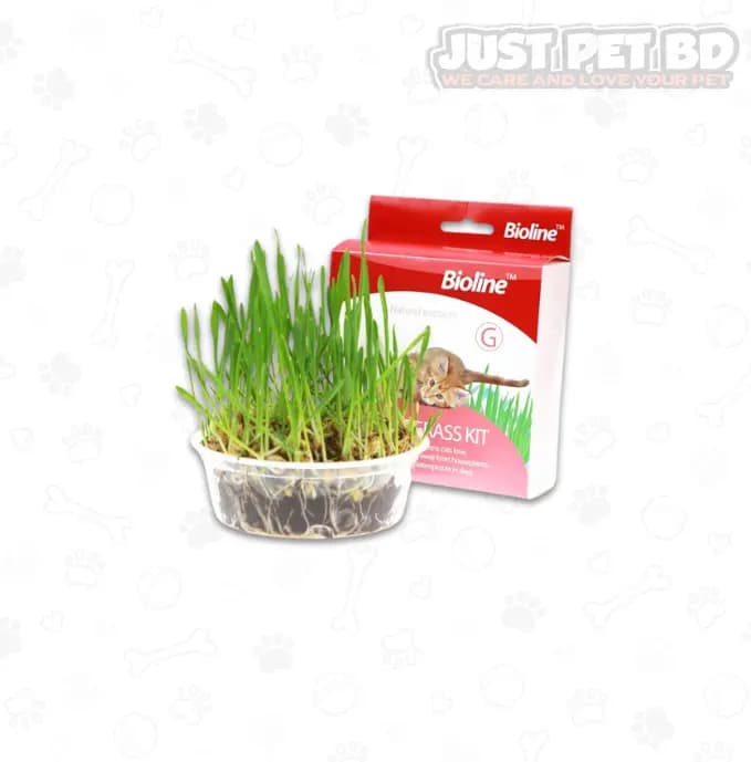 Bioline Cat Grass Kit 12gm