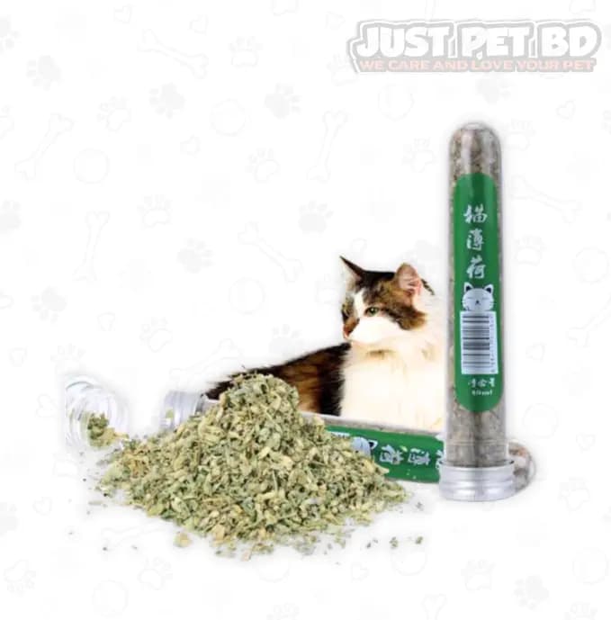 Catnip Bottle for Cats – 40ml | Natural Cat Attractant for Play & Relaxation