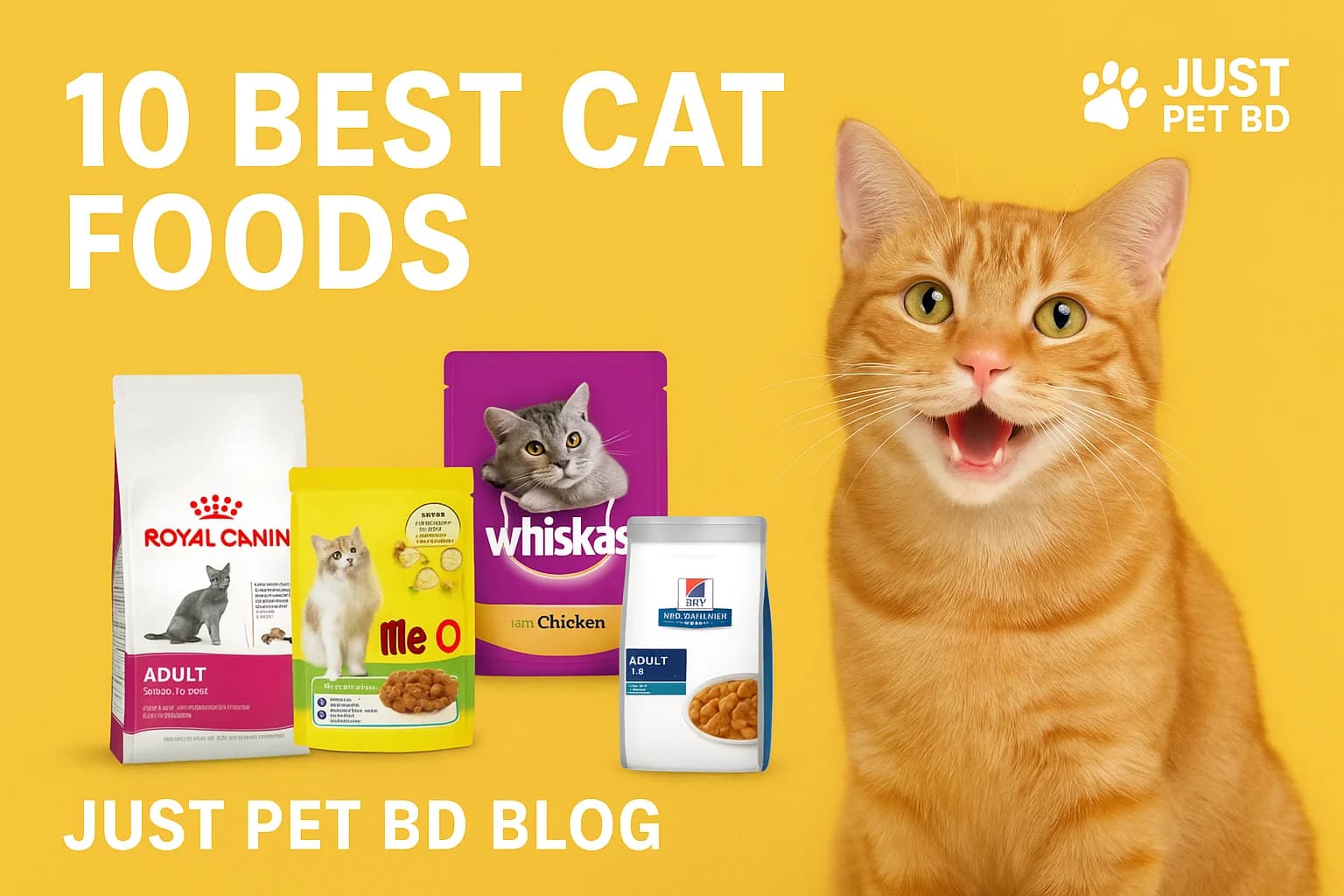 Top 10 Best Cat Foods – The Right Choice for Your Beloved Pet’s Health