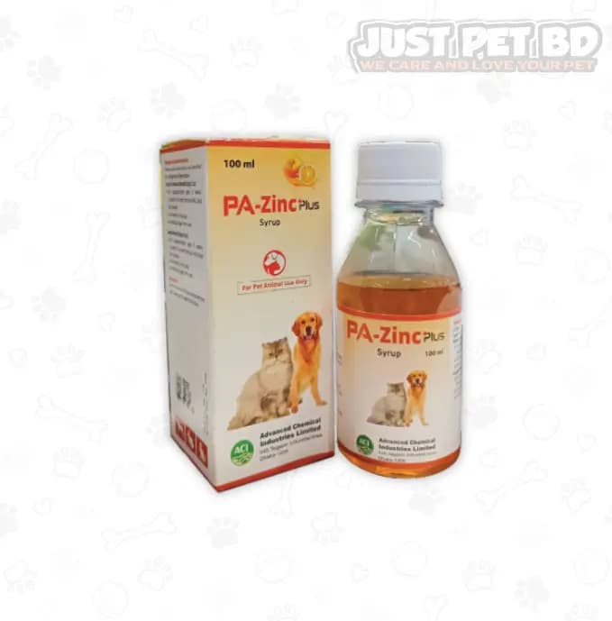 PA-Zinc Plus Syrup 100ml