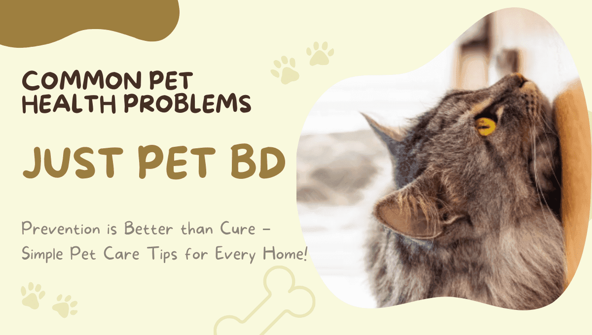 Common Pet Health Problems: Prevention and Affordable Remedies in Bangladesh