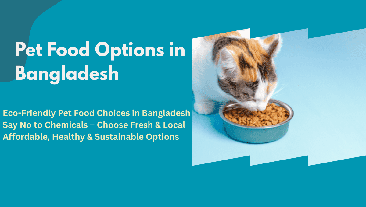 Sustainable & Healthier Pet Food Options in Bangladesh