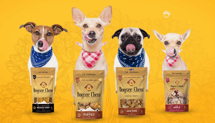 Dog Food Facts Bangladesh Pet Owners Should Know