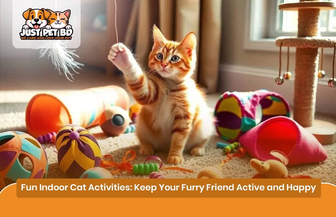 Fun Indoor Cat Activities: Keep Your Furry Friend Active and Happy